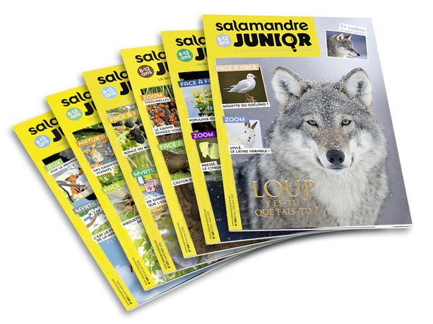 revue salamandre bibliotheque sonore