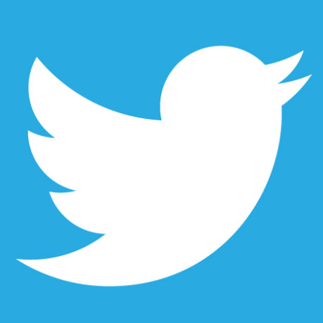 logo twitter22