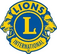lions logo